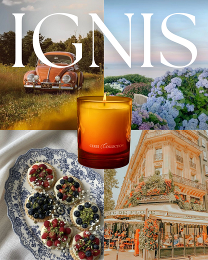 Vela aromática IGNIS